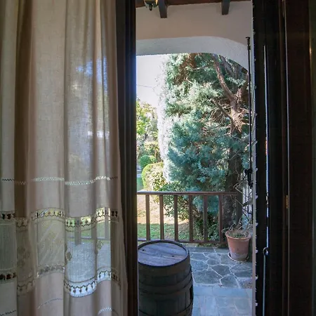 Dandy - Dafne - Garden Amfíklia