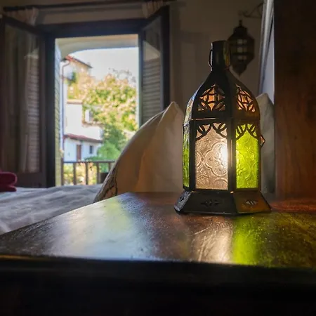 Dandy - Dafne - Garden