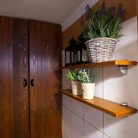 Dandy - Dafne - Garden *