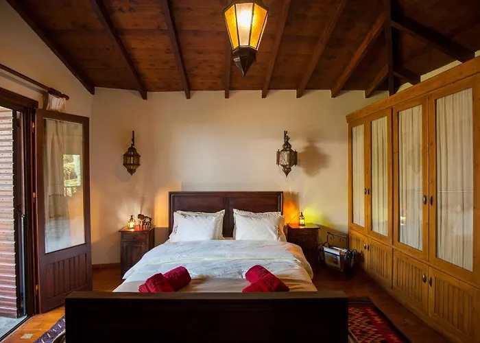 Dandy - Dafne - Garden