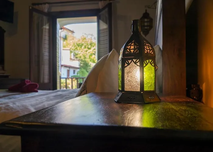 Dandy - Dafne - Garden