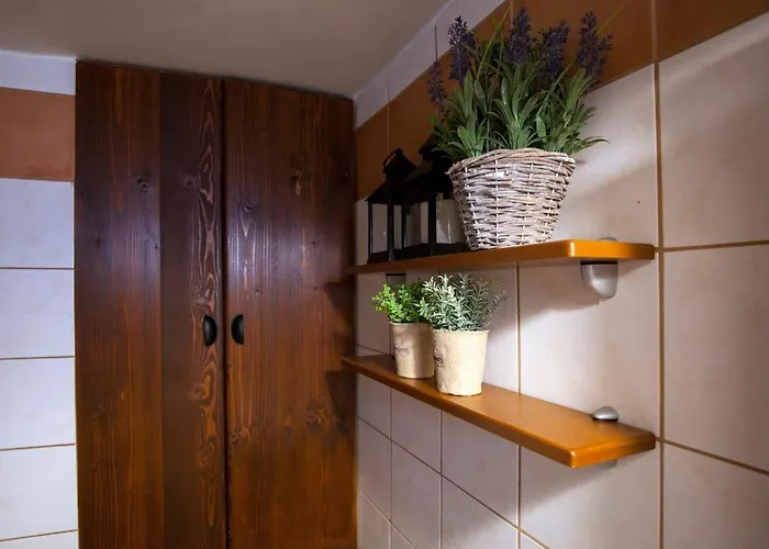 Dandy - Dafne - Garden *